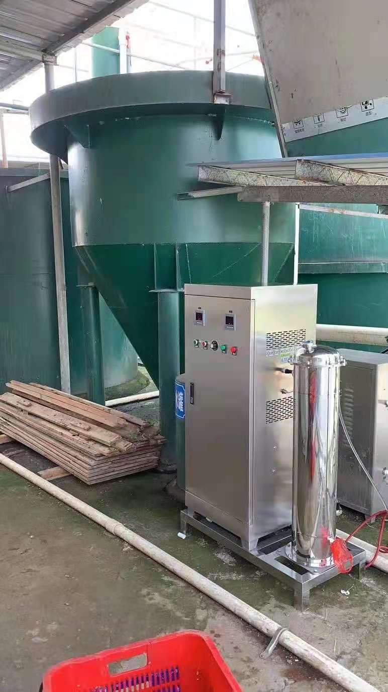 2021072450956245 2021072450956245